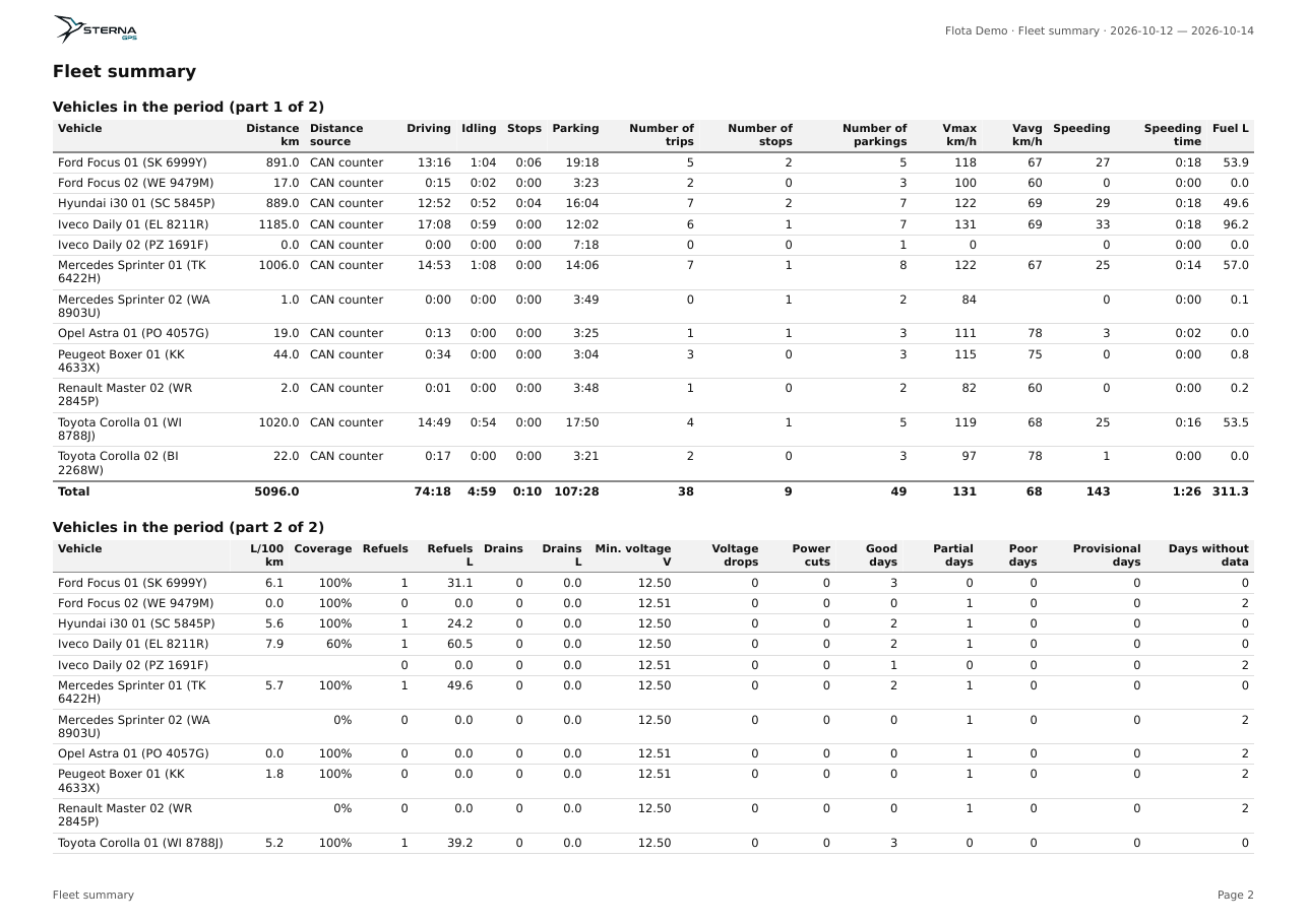 Strona raportu Fleet summary, zestawienie floty po angielsku